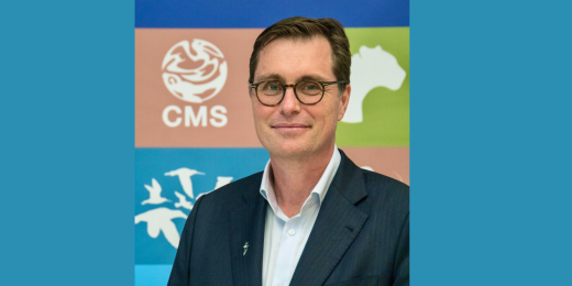 Andy Raine - CMS Executive Secretary